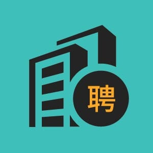 智慧城市系统服务(中国)有限公司
