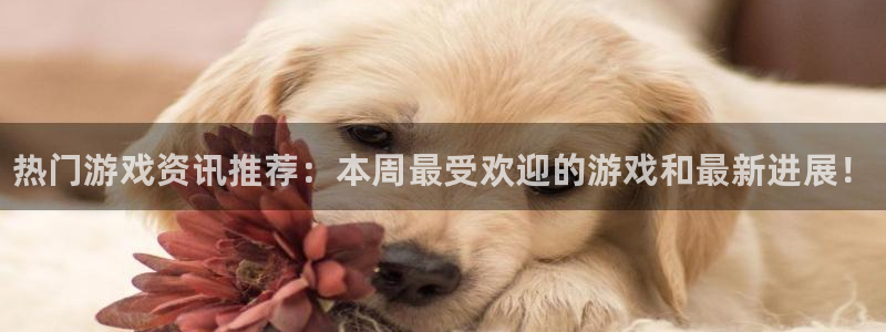 鼎点娱乐平台官方网站：热门游戏资讯推荐：本周最受欢迎的游戏和