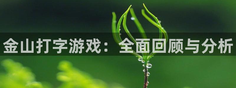 鼎点娱乐2登录：金山打字游戏：全面回顾与分析