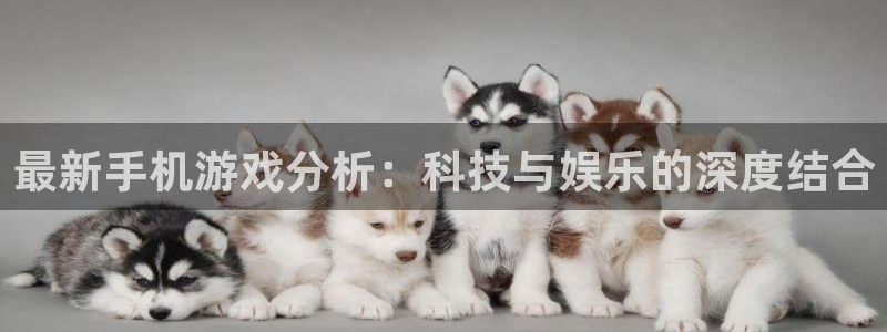 鼎点娱乐注册地址：最新手机游戏分析：科技与娱乐的深度结合