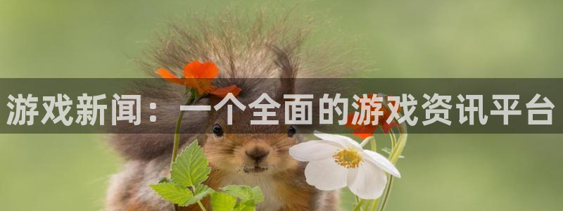 鼎点娱乐注册：游戏新闻：一个全面的游戏资讯平台