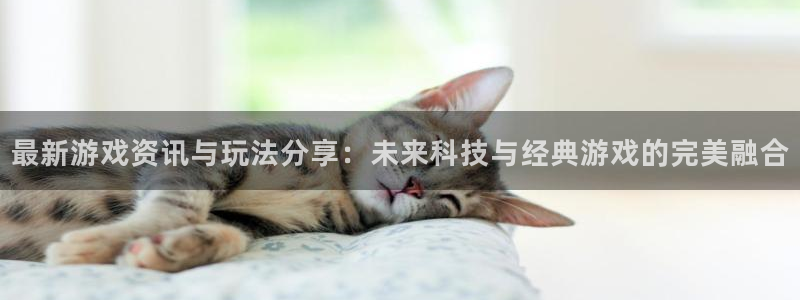 鼎点娱乐平台登录线路：最新游戏资讯与玩法分享：未来科技与经典