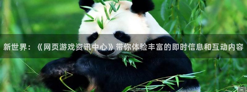 鼎点娱乐官方平台：新世界：《网页游戏资讯中心》带你体验丰富的
