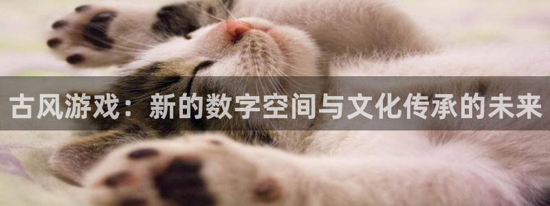 鼎点娱乐下载链接：古风游戏：新的数字空间与文化传承的未来