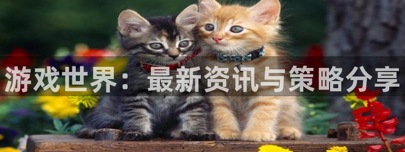 鼎点娱乐直属：游戏世界：最新资讯与策略分享