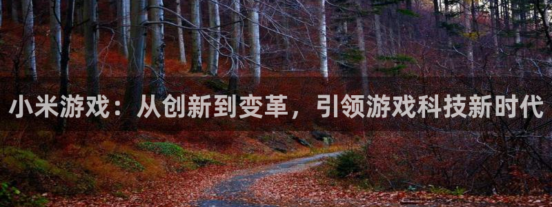 鼎点娱乐注册网站：小米游戏：从创新到变革，引领游戏科技新时代