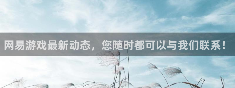 鼎点娱乐官网地址在哪：网易游戏最新动态，您随时都可以与我们联
